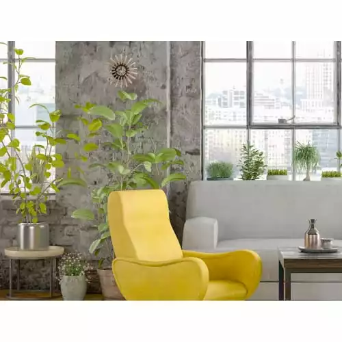 RIF Appliques Murales Et Spots Applique Bois Boule Beige D20cm 2 RIF Appliques Murales Et Spots Applique Bois Boule Beige D20cm – Image 2