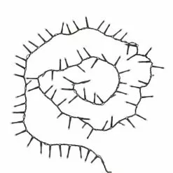 Maisons Du Monde Guirlandes Et Cimiers Guirlande électrique L100